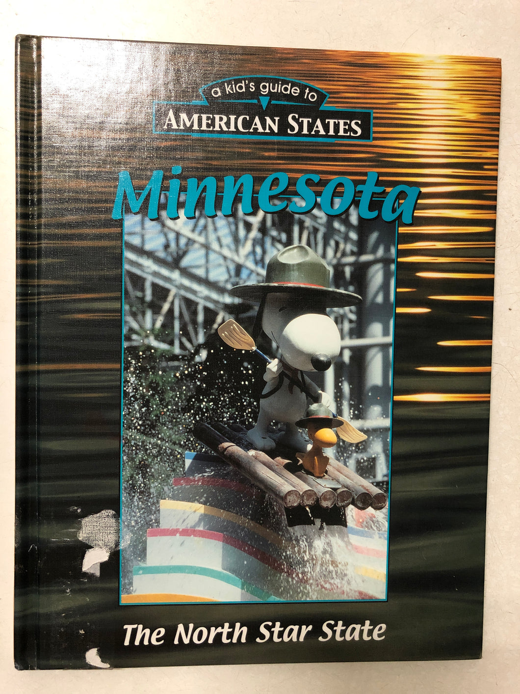 Minnesota The North Star State - Slick Cat Books