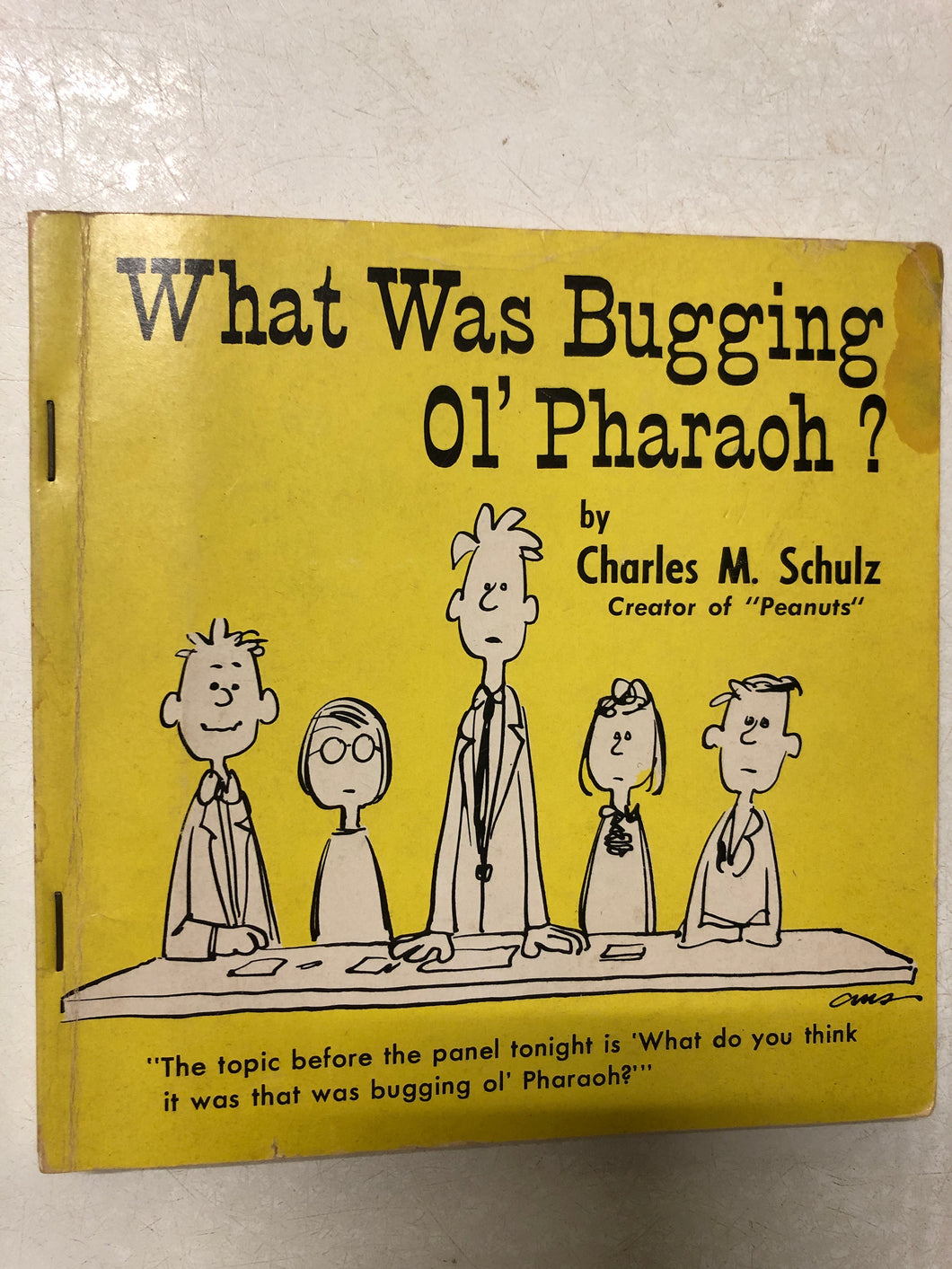 What Was Bugging Ol’ Pharaoh? - Slick Cat Books