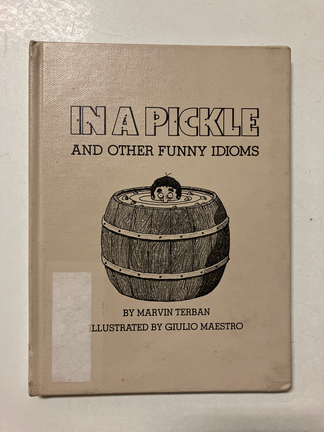 In a Pickle and Other Funny Idioms - Slick Cat Books