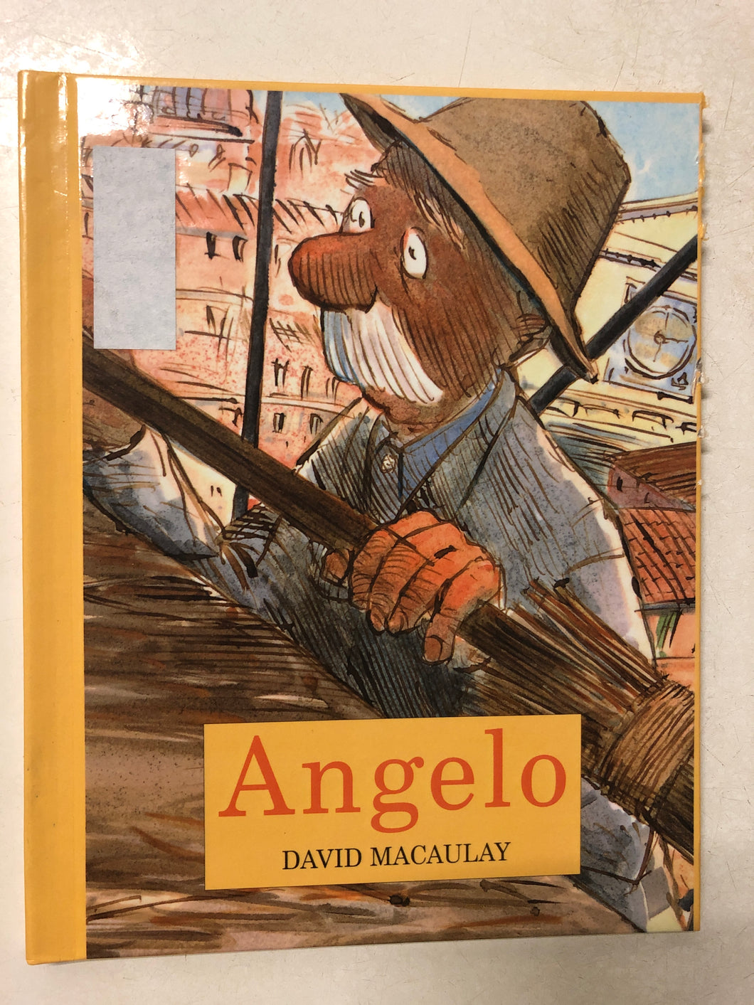 Angelo - Slick Cat Books