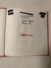 Liang and the Magic Paintbrush