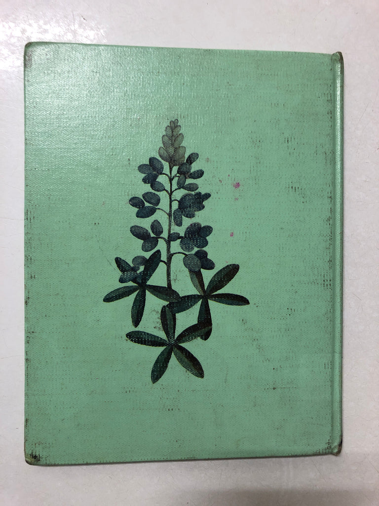 The Legend of the Bluebonnet An Old Tale of Texas – Slickcatbooks
