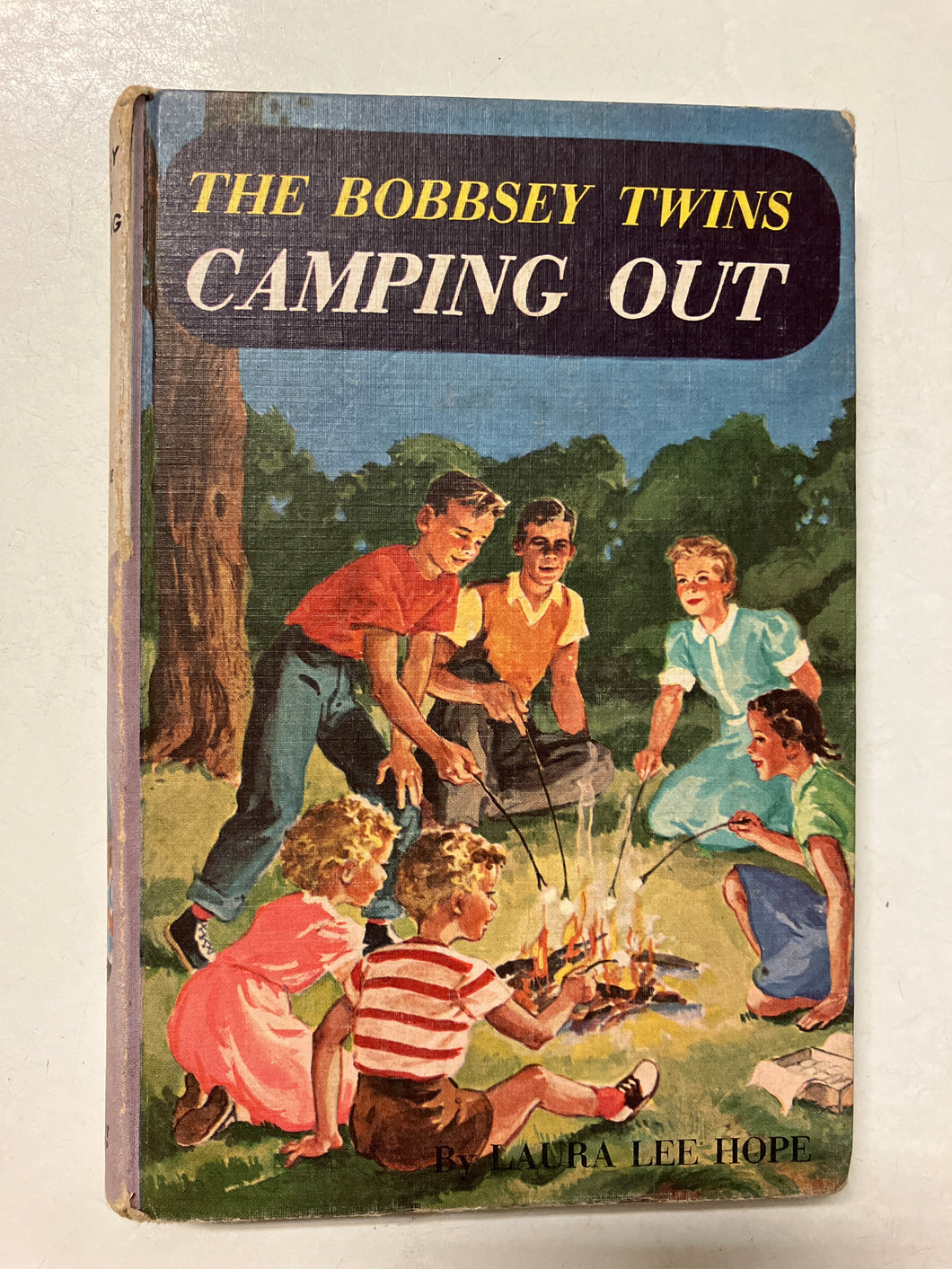 The Bobbsey Twins Camping Out - Slick Cat Books