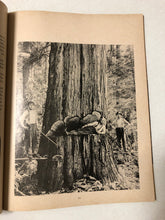 Vancouver Recalled Pictorial History To 1887
