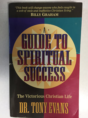 A Guide To Spiritual Success - Slick Cat Books 
