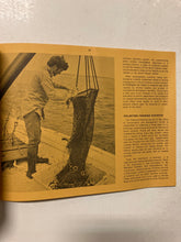 The South Carolina Shrimp Fishery