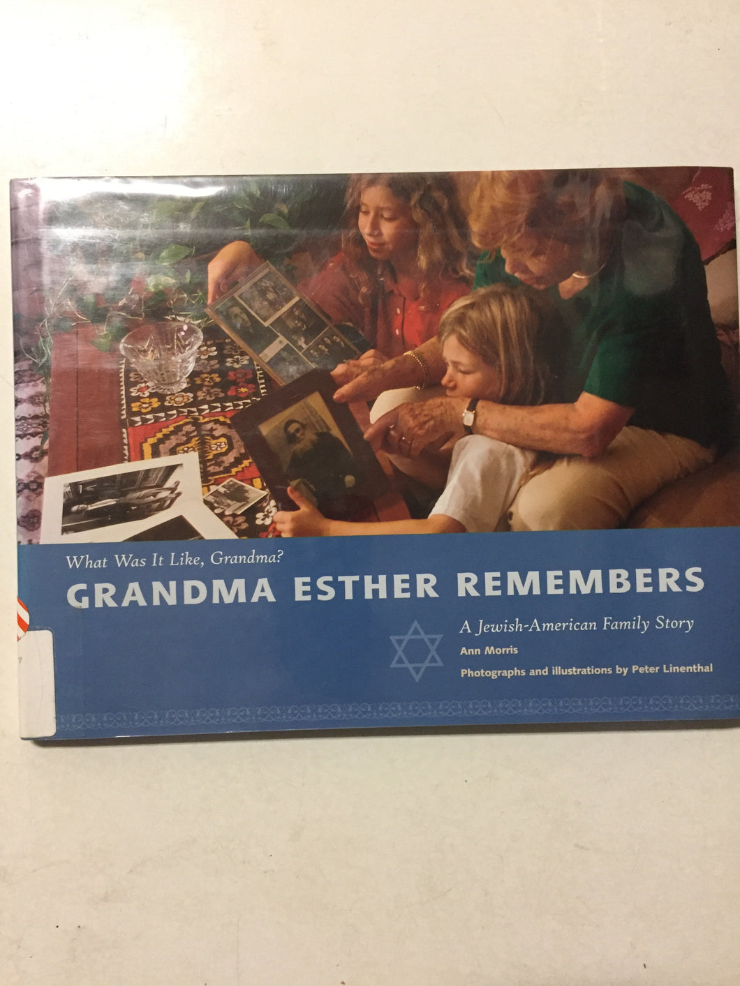 Grandma Esther Remembers A Jewish-American Family Story - Slickcatbooks