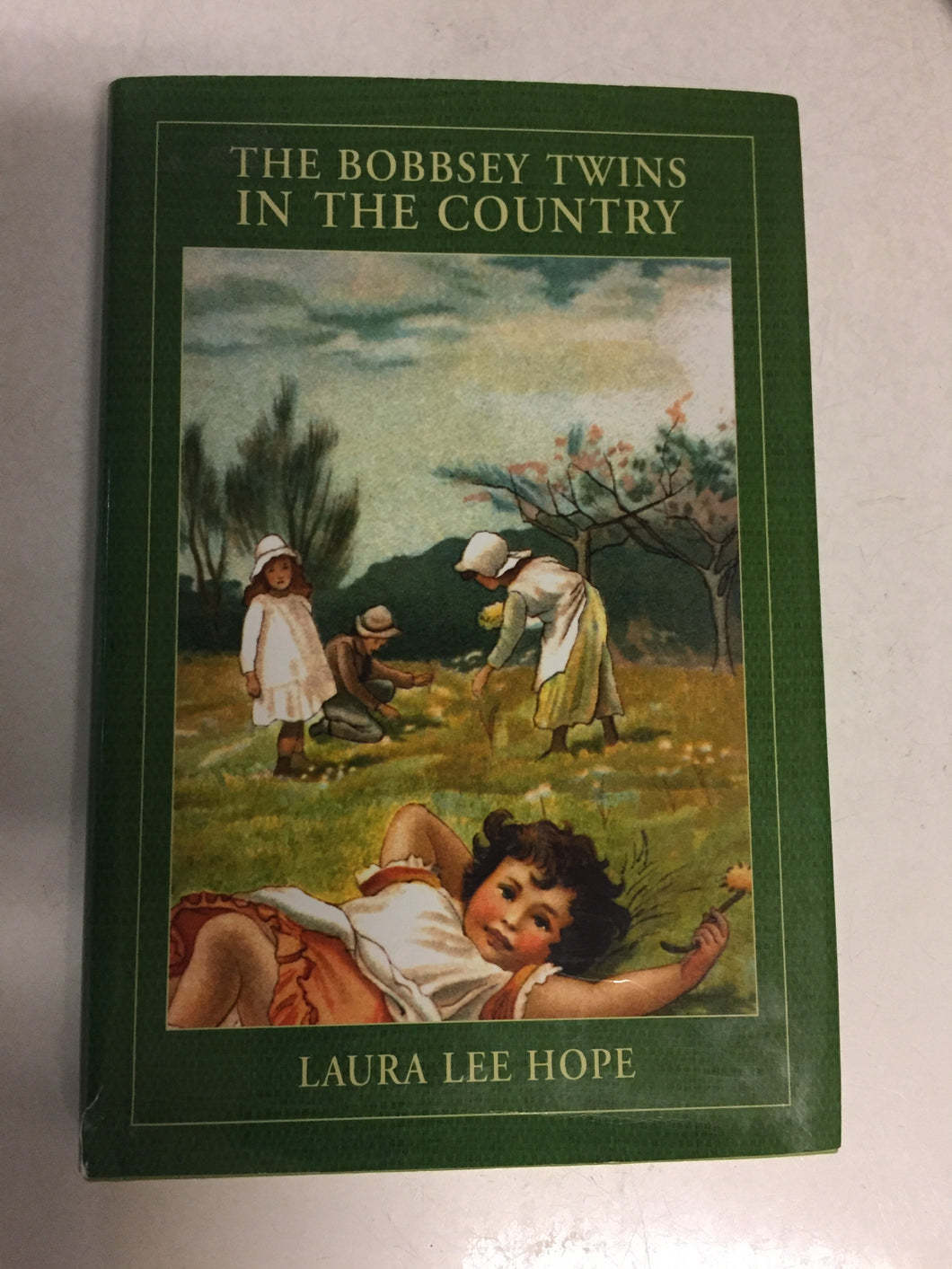 The Bobbsey Twins in the Country - Slickcatbooks
