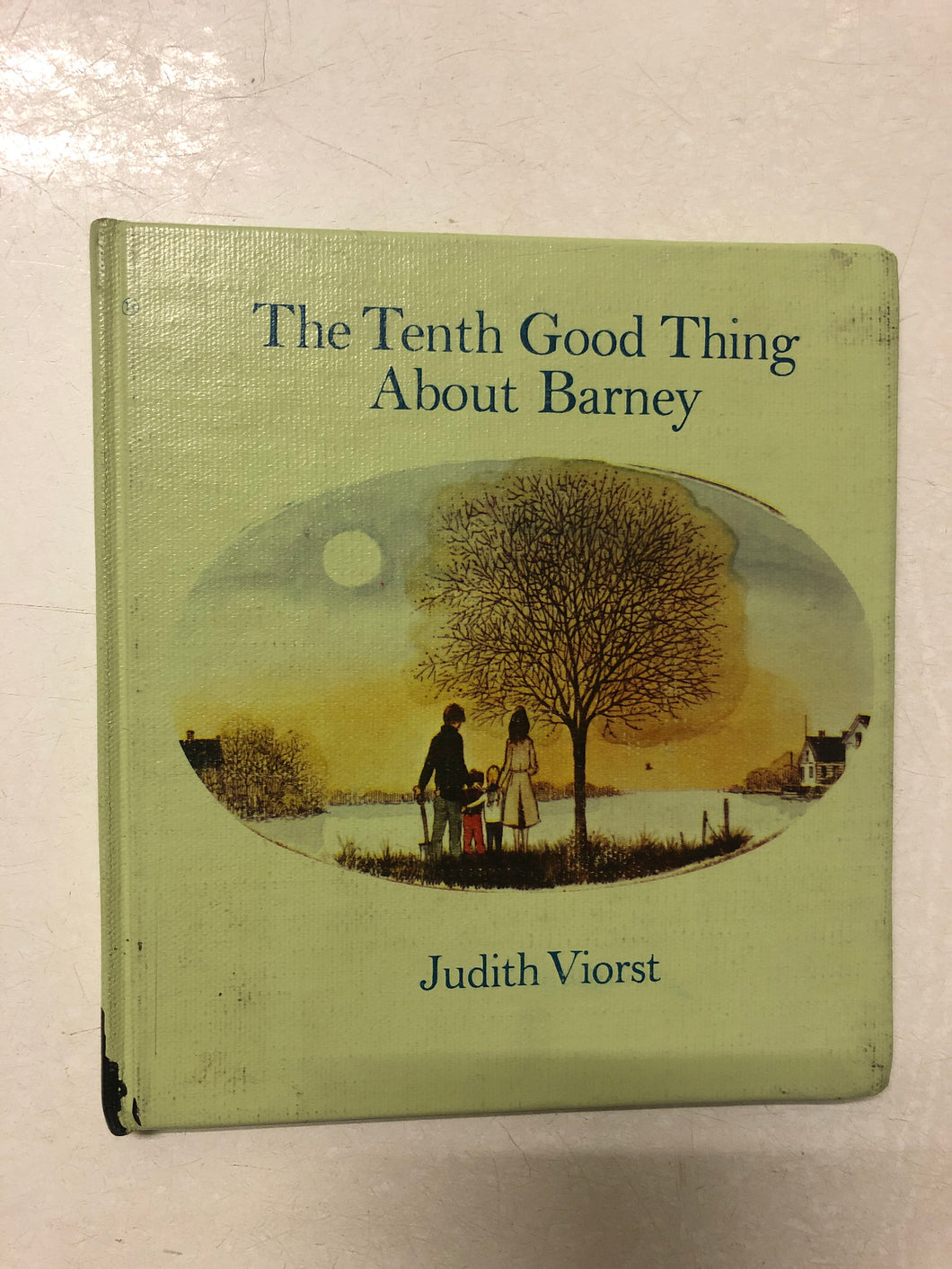 The Tenth Good Thing About Barney - Slick Cat Books