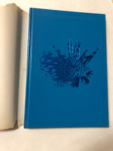 The Ocean Realm