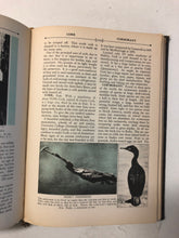 The Wonderland of Knowledge Volume IV CLI-DEN - Slickcatbooks