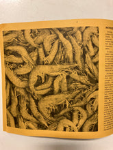 The South Carolina Shrimp Fishery