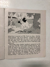 Peter Rabbit Proves a Friend
