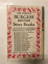 The Bobbsey Twins in the Country