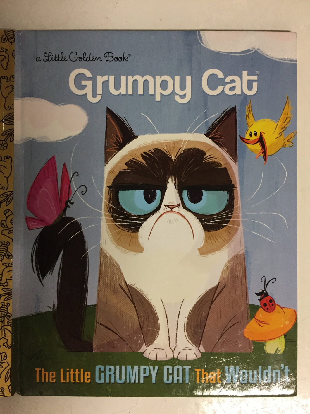 Grumpy Cat The Little Grumpy Cat That Wouldn't - Slickcatbooks