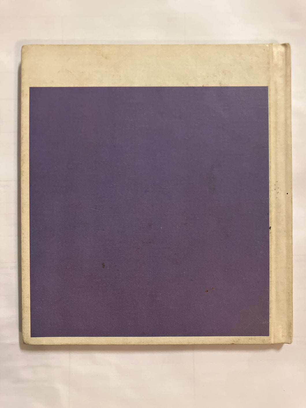 Baby Elephant’s Trunk