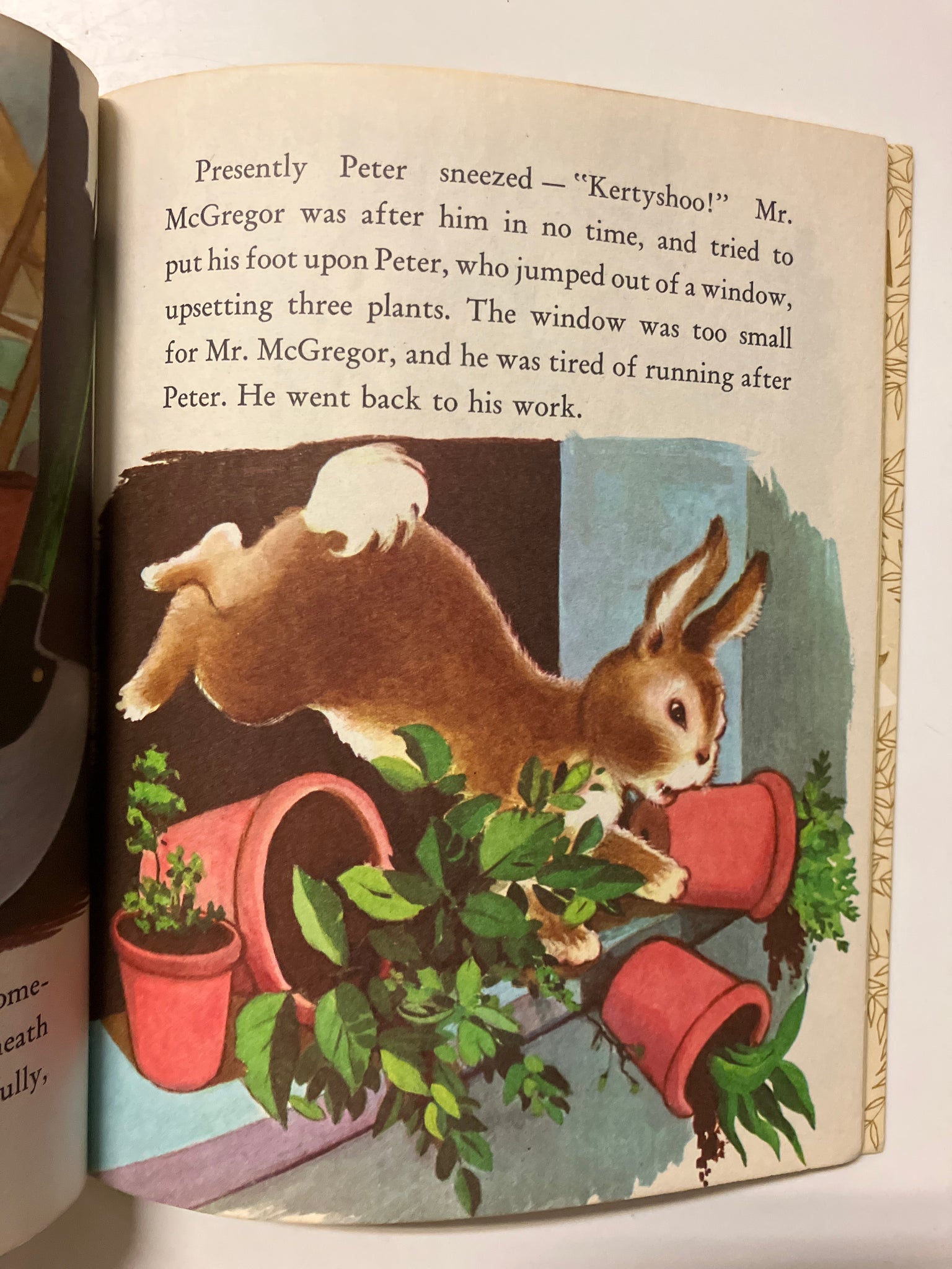 Peter Rabbit – Slickcatbooks