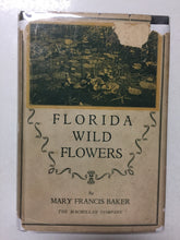 Florida Wild Flowers An Introduction to the Flora of the Florida Peninsula - Slickcatbooks