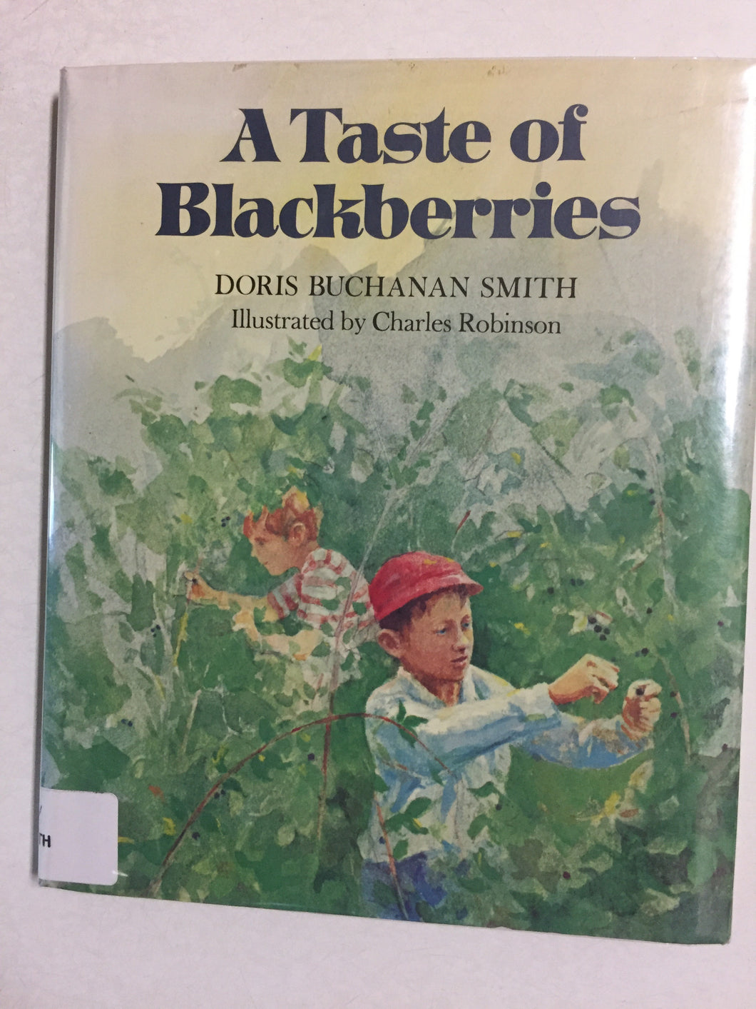 A Taste of Blackberries - Slick Cat Books 