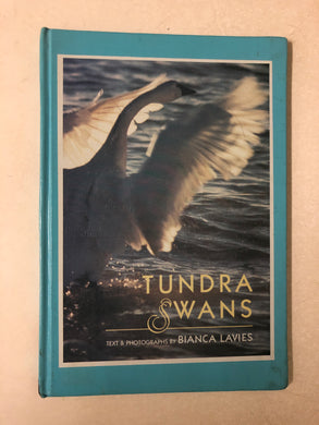 Tundra Swans - Slick Cat Books 