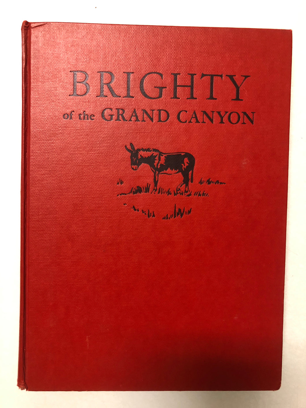 Brighty of the Grand Canyon - Slick Cat Books 
