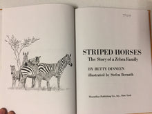Striped Horses The Story of a Zebra Family - Slickcatbooks