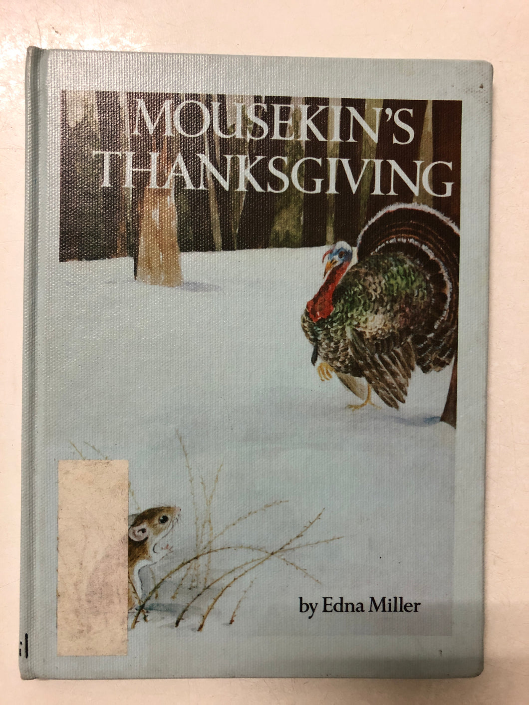 Mousekin’s Thanksgiving - Slick Cat Books 