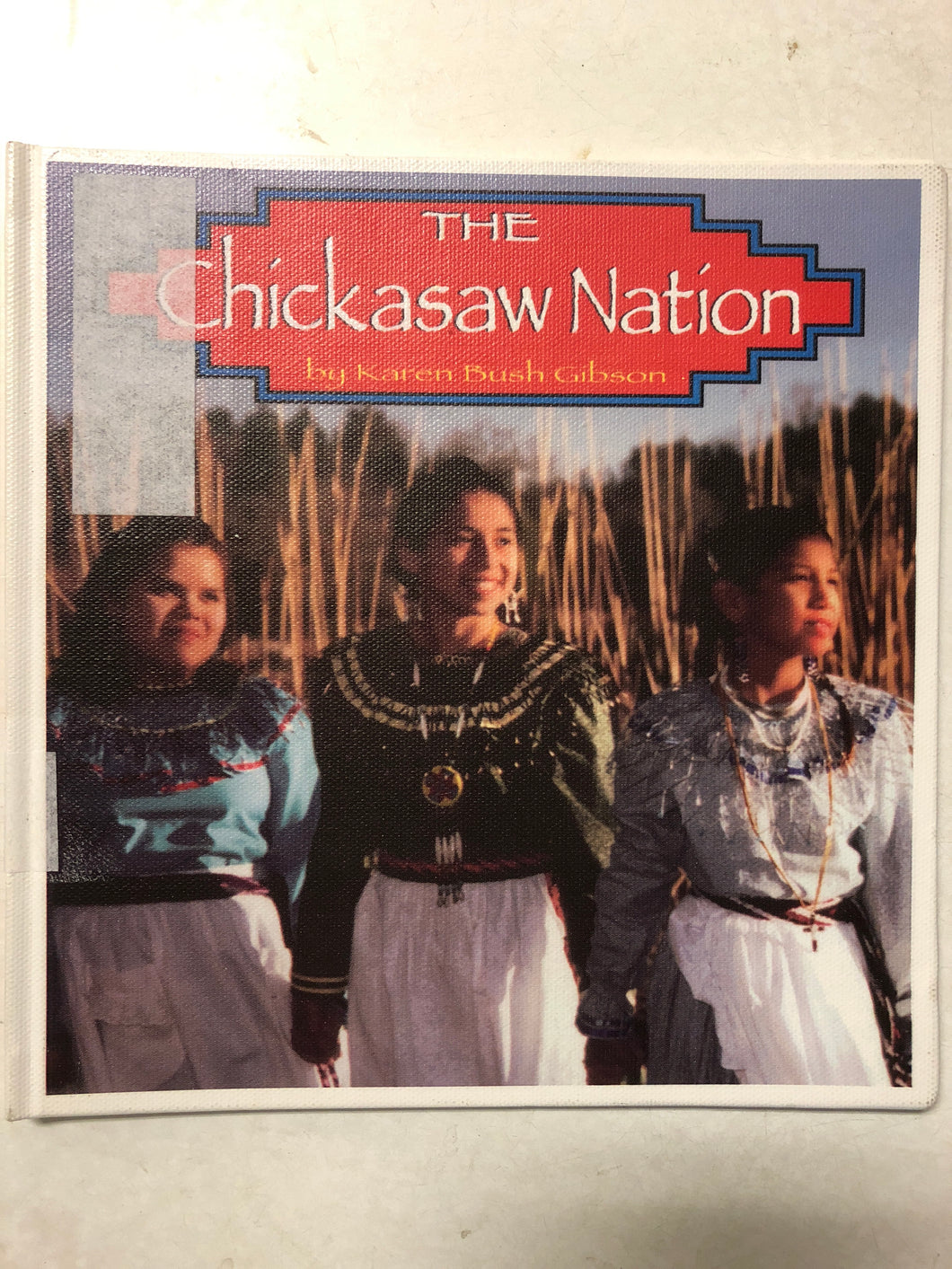 The Chickasaw Nation - Slick Cat Books 