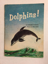 Dolphins! Slick Cat Books