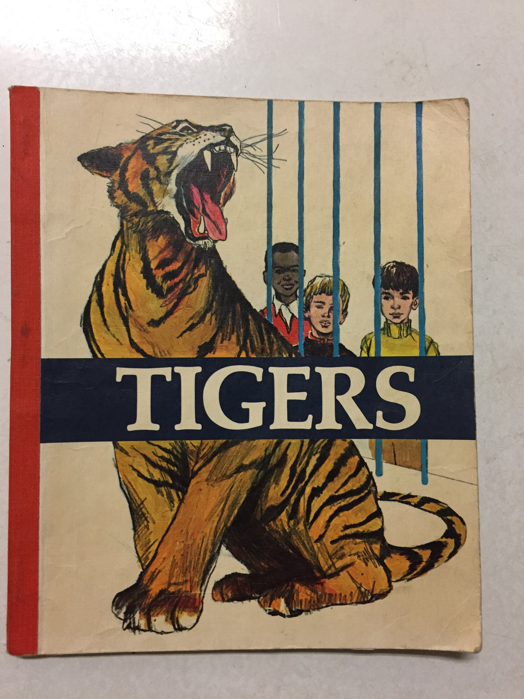Tigers - Slickcatbooks