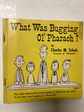 What Was Bugging Ol’ Pharaoh? - Slick Cat Books 