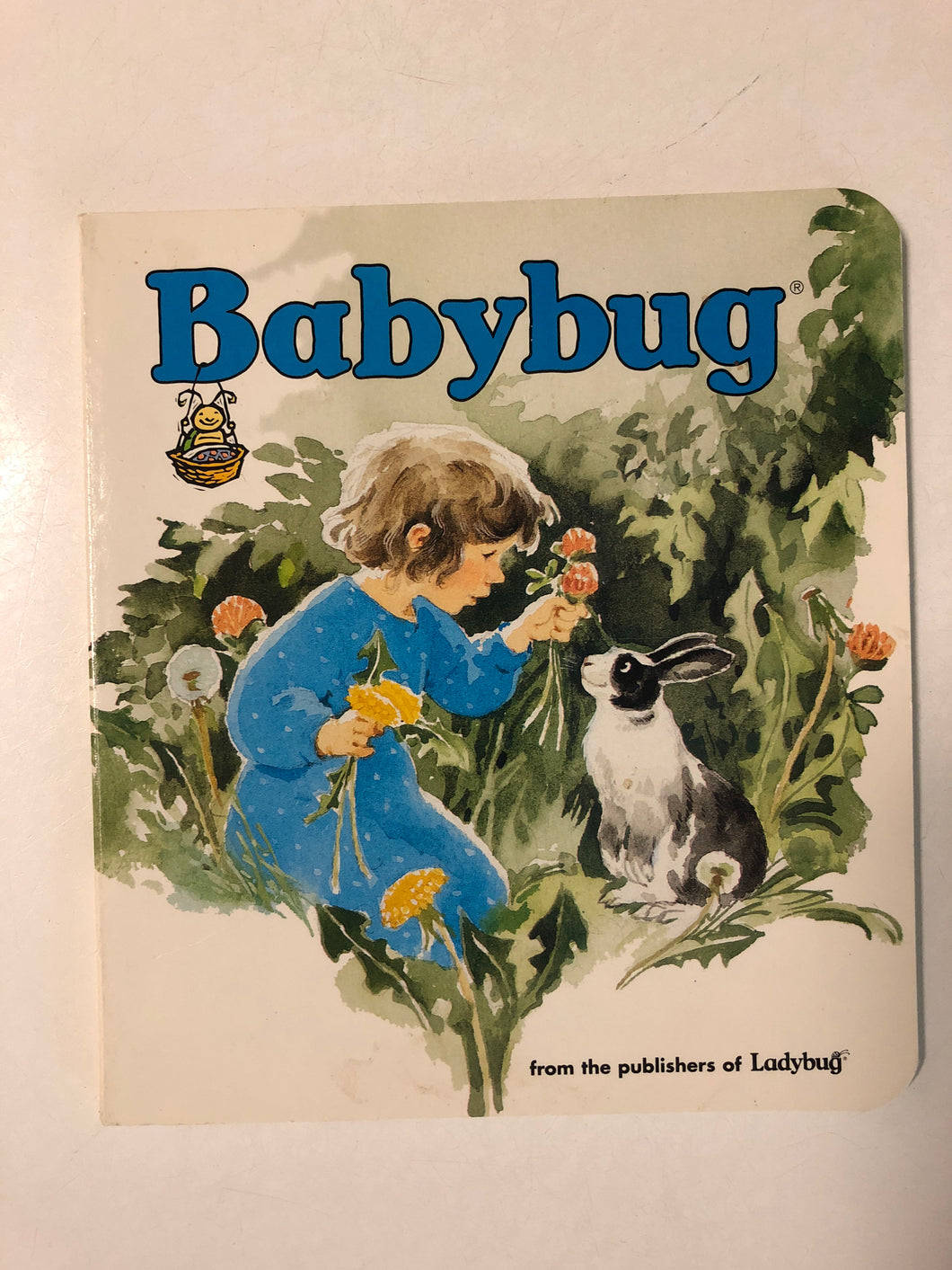 Babybug - Slick Cat Books 