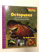 Octopuses and Other Animals With Amazing Senses - Slick Cat Books 
