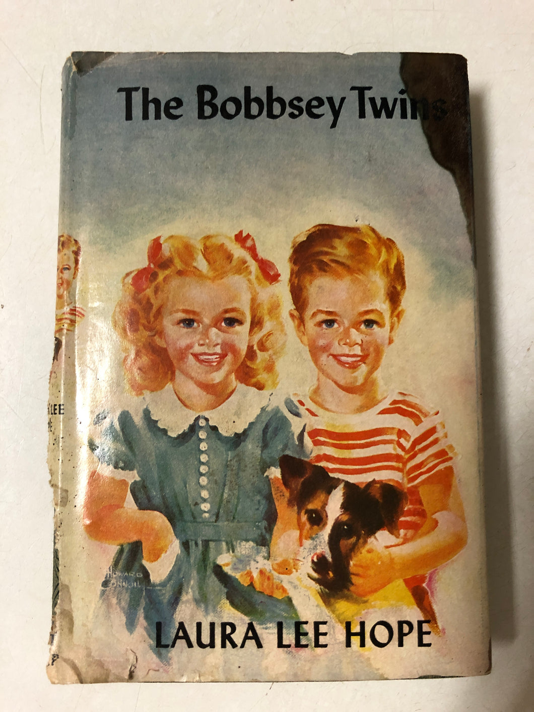 The Bobbsey Twins - Slick Cat Books 