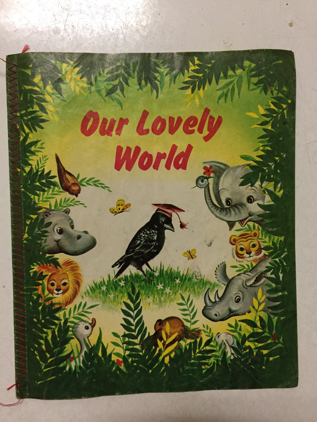 Our Lovely World - Slickcatbooks