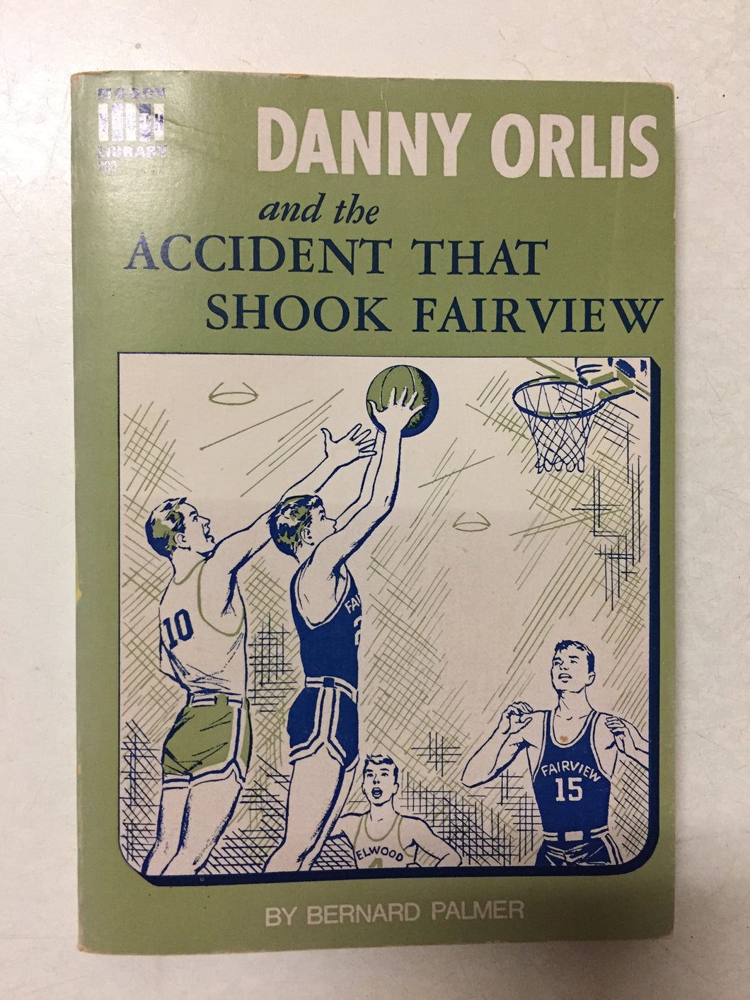 Danny Orlis and the Accident Shook Fairview - Slick Cat Books