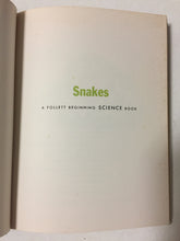 Snakes - Slickcatbooks