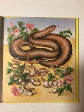 My Little Book of Snakes - Slickcatbooks