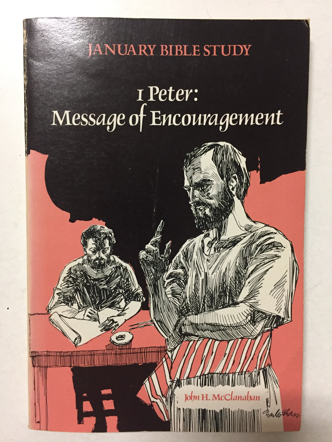 1 Peter: Message of Encouragement January Bible Study -Slick Cat Books 