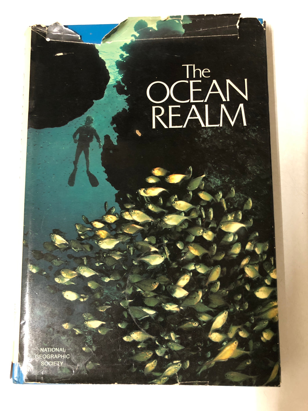 The Ocean Realm - Slick Cat Books 