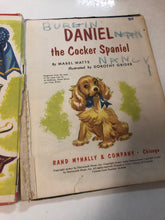 Daniel the Cocker Spaniel