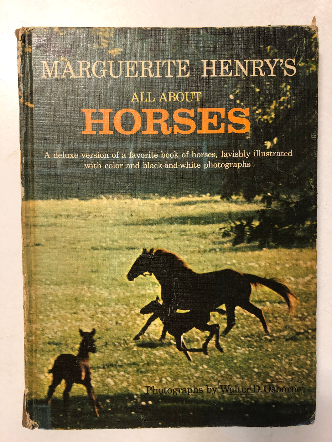 Marguerite Henry’s All About Horses - Slick Cat Books 
