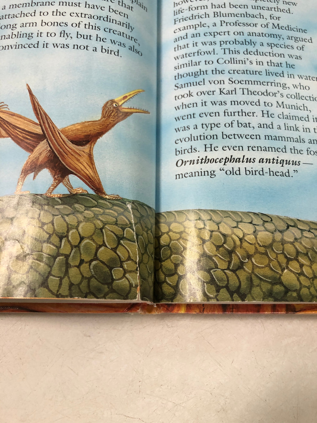 real life monsters book True-Life Monsters of the Prehistoric Skies – Slickcatbooks