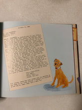 A Small Dog’s Big Life Around the World with Owney