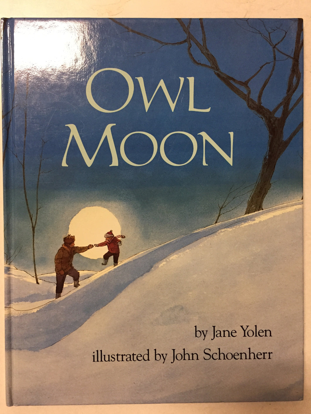 Owl Moon - Slickcatbooks