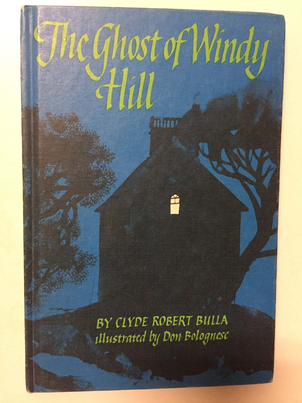 The Ghost Of Windy Hill - Slick Cat Books 