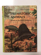 Prehistoric Animals - Slick Cat Books 