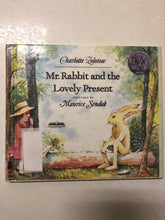 Mr. Rabbit and the Lovely Present - Slick Cat Books 