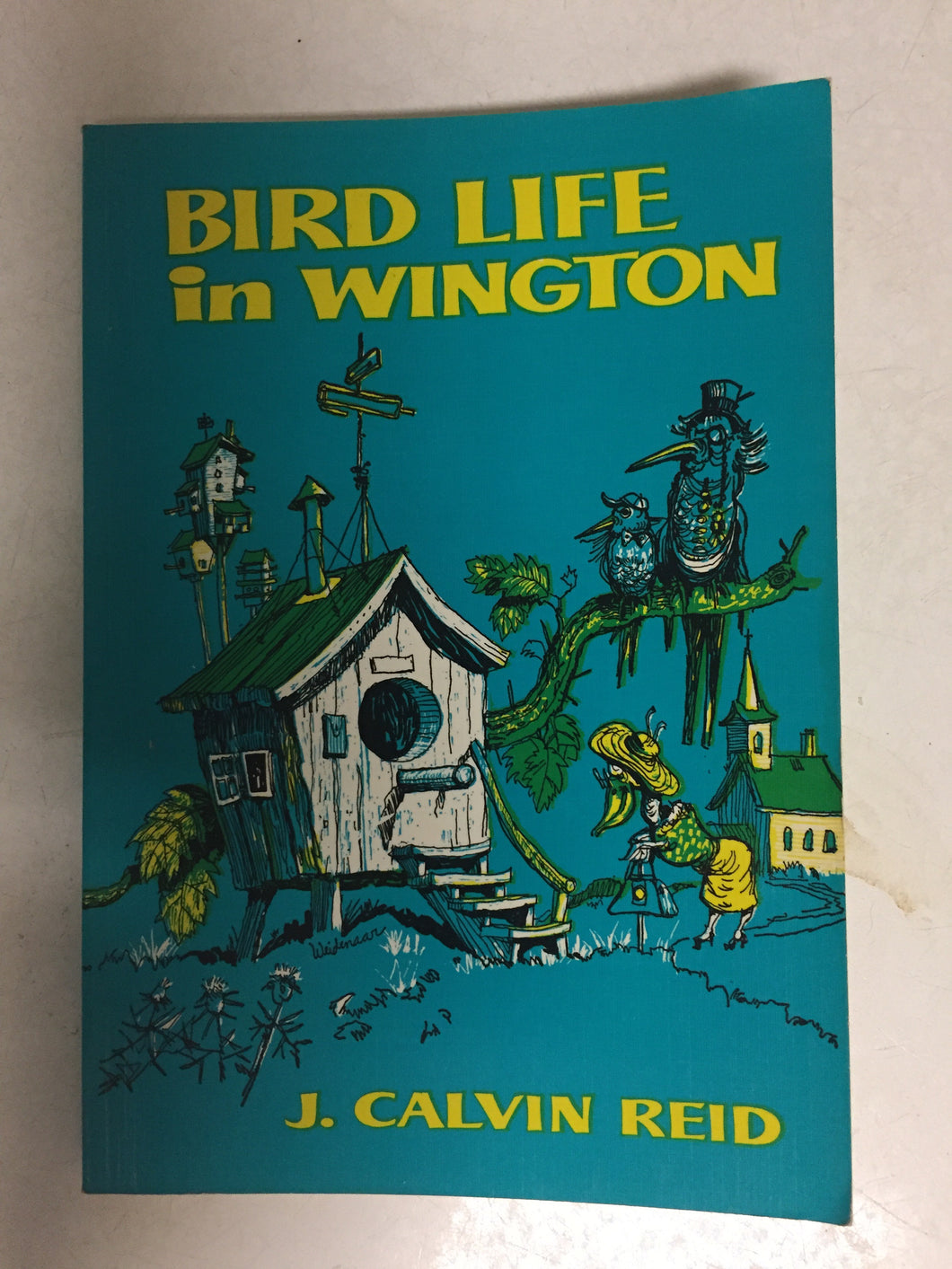 Bird Life in Wington - Slick Cat Books