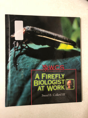 A Firefly Biologist at Work - Slick Cat Books 